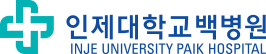 인제대학교백병원 ci