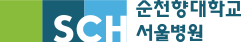 순천향대학교서울병원 ci